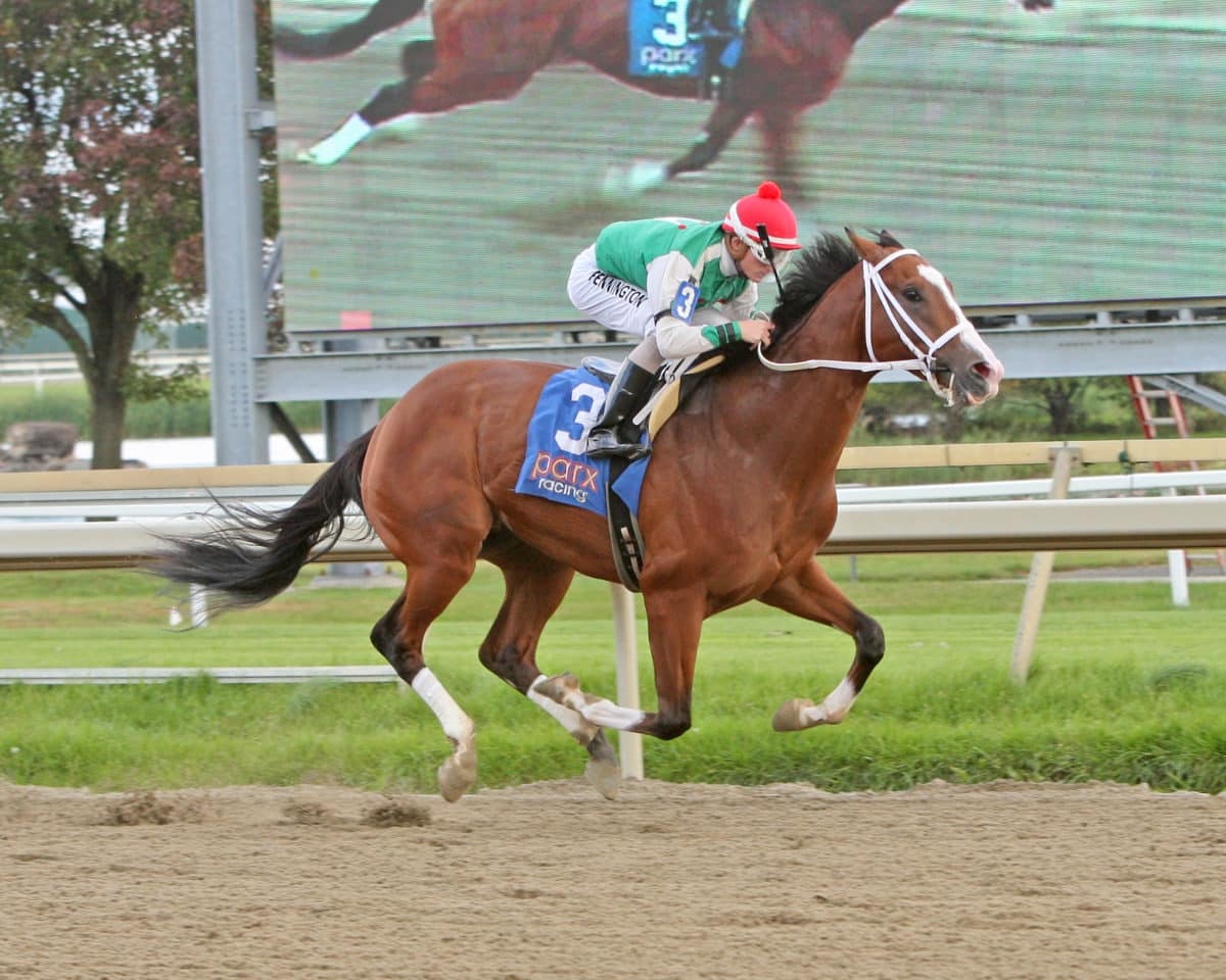 Maximus Mischief | Parx Allowance | Equi-Photo