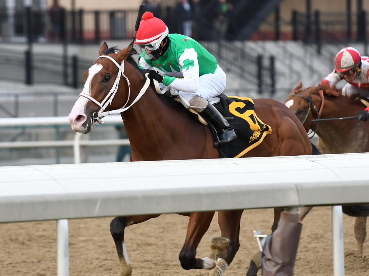 Maximus Mischief | 2018 G2 Remsen | NYRA photo