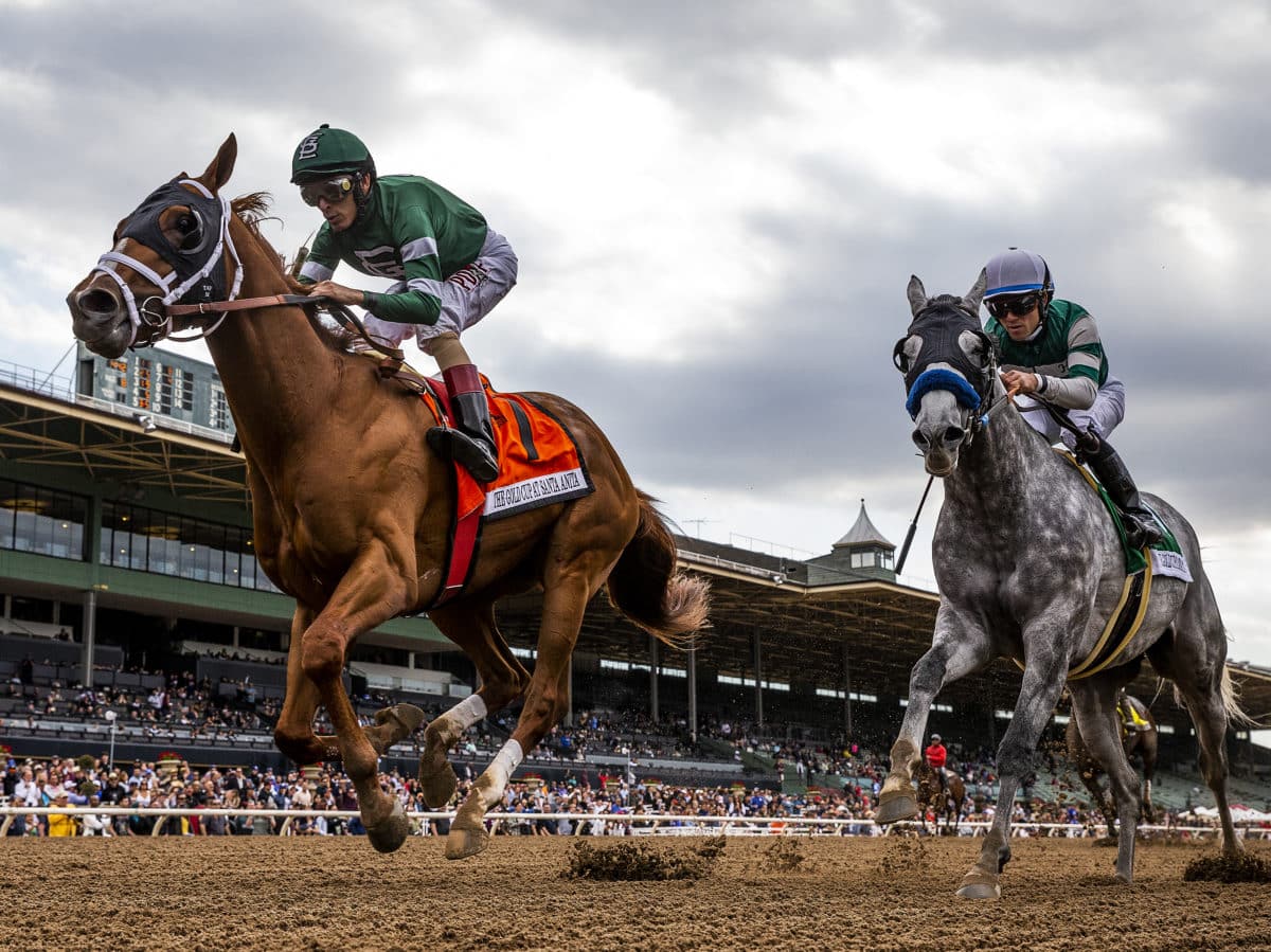 Vino Rosso G1 The Gold Cup at Santa Anita | Photo By Evers/Eclipse Sportswire/CSM