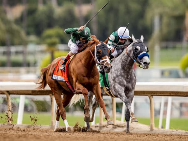 Vino Rosso G1 The Gold Cup at Santa Anita | Photo By Evers/Eclipse Sportswire/CSM