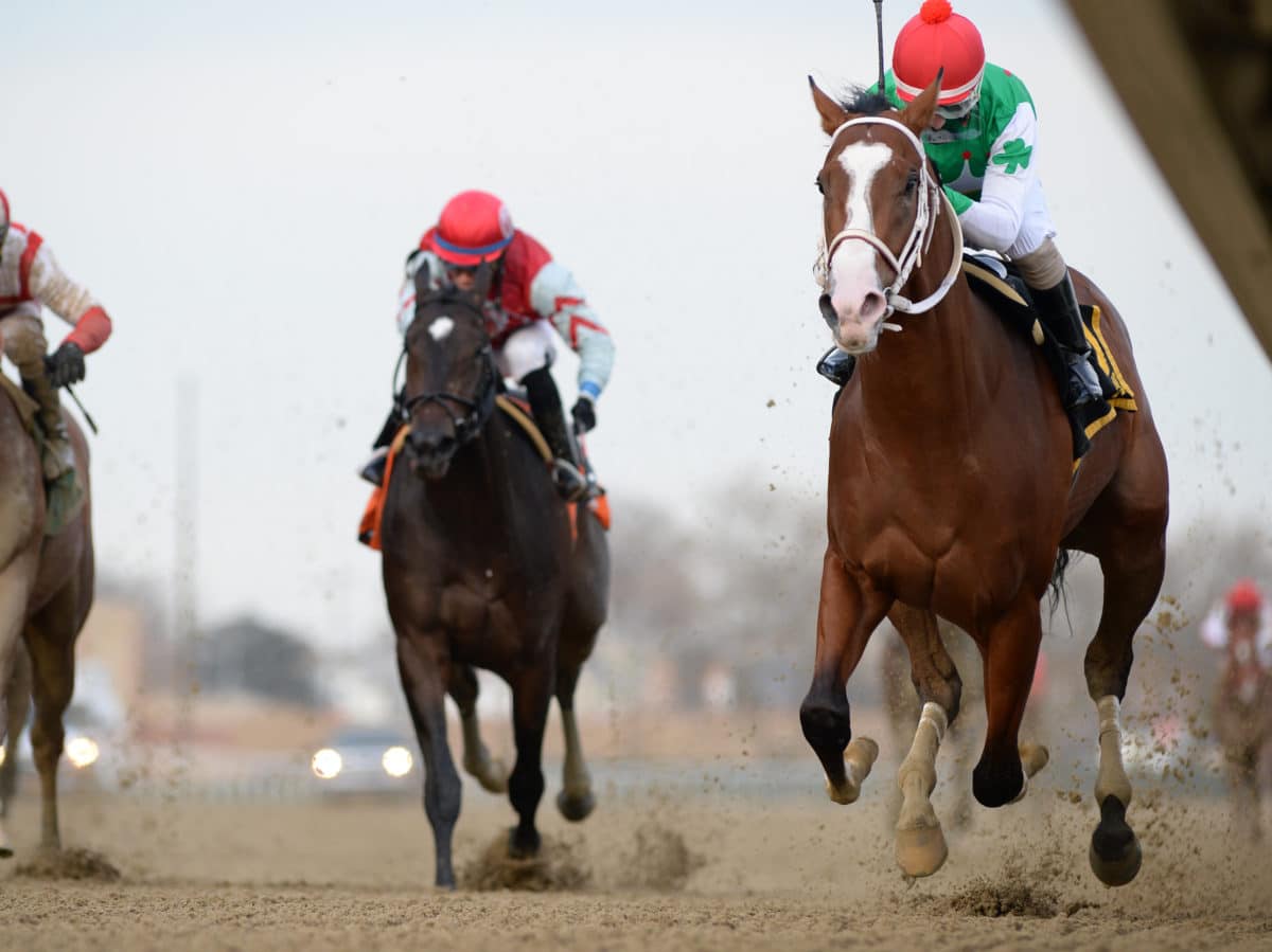 Maximus Mischief | 2018 G2 Remsen | NYRA Photo