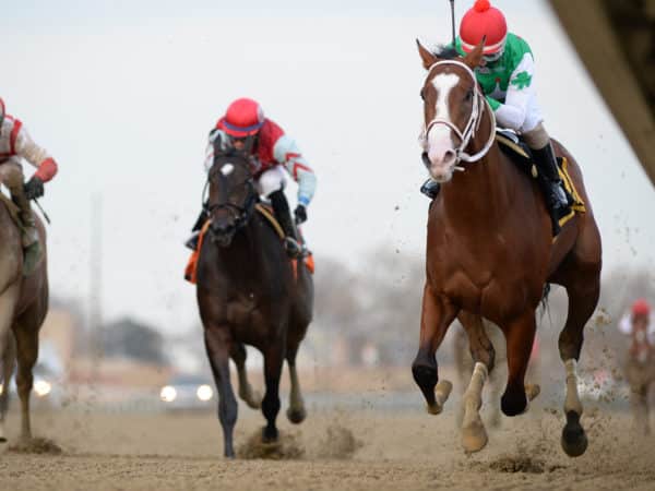 Maximus Mischief | 2018 G2 Remsen | NYRA Photo