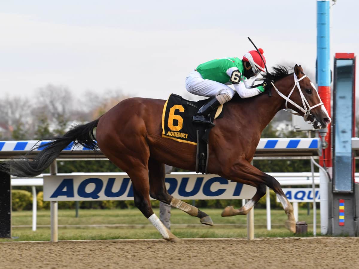 Maximus Mischief | 2018 G2 Remsen | NYRA Photo