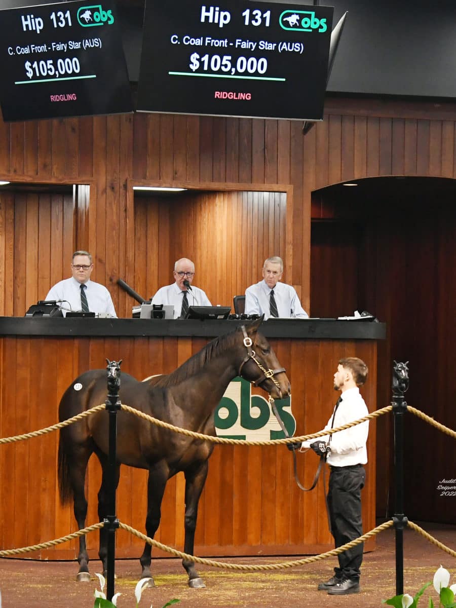 $105,000 | Colt o/o Fairy Star (Aus) | Purchased by Janice Geeding | '22 OBSOCT | Judit Seipert photo