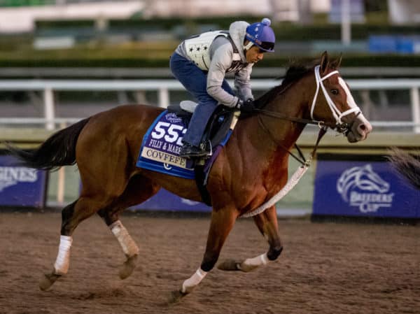 F&M Sprint-G1 contender Covfefe | Eclipse Sportswire photo