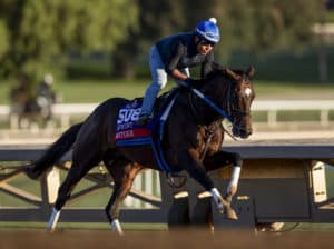 Sprint-G1 contender Mitole | Eclipse Sportswire photos