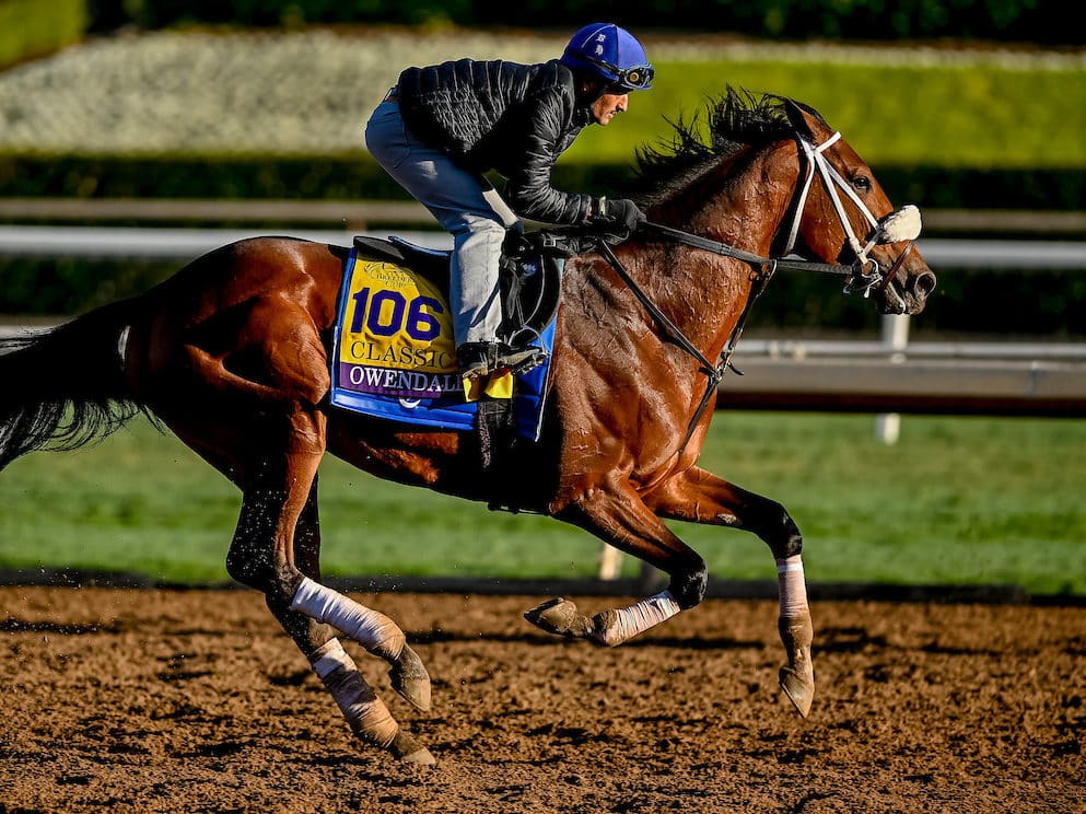 Owendale, Covfefe headline Into Mischief’s Breeders’ Cup brigade