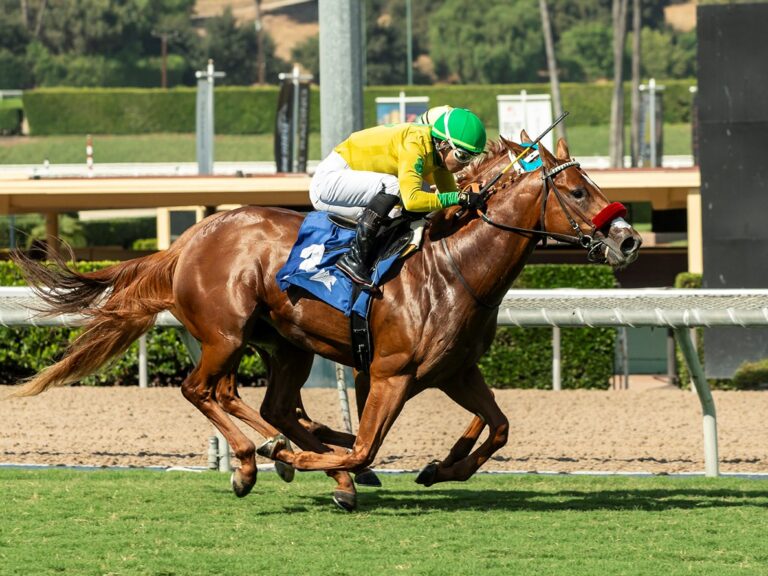 Second-crop 2yo colt Pali Kitten wins the 2024 Speakeasy S. at Santa Anita | Benoit photo