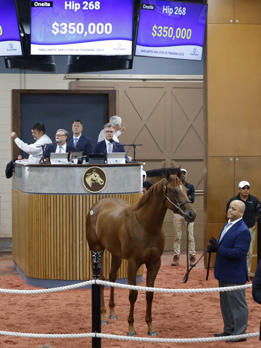 $350,000 filly | Hip 268 o/o Lunar Gaze | Purchased by West Bloodstock, for Repole Stable | '23 F-T Midlantic | Z photo