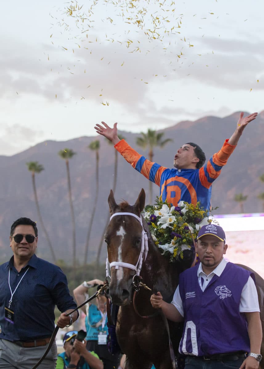 Vino Rosso | 2019 Breeders' Cup Classic-G1 | Benoit photo