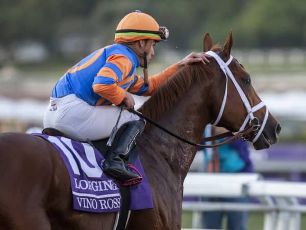 Vino Rosso | 2019 Breeders' Cup Classic-G1 | Benoit photo