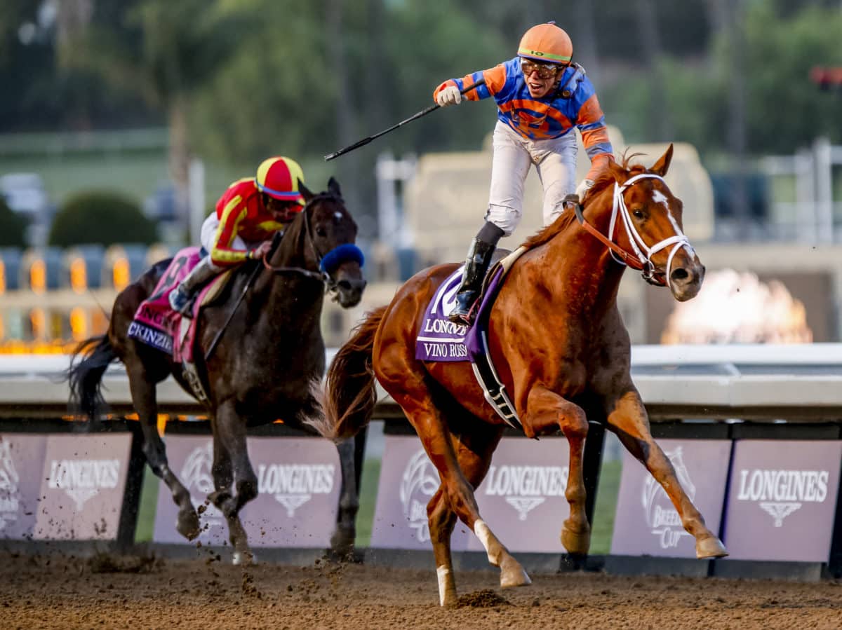 Vino Rosso | 2019 Breeders’ Cup Classic-G1 | Eclipse Sportswire photo