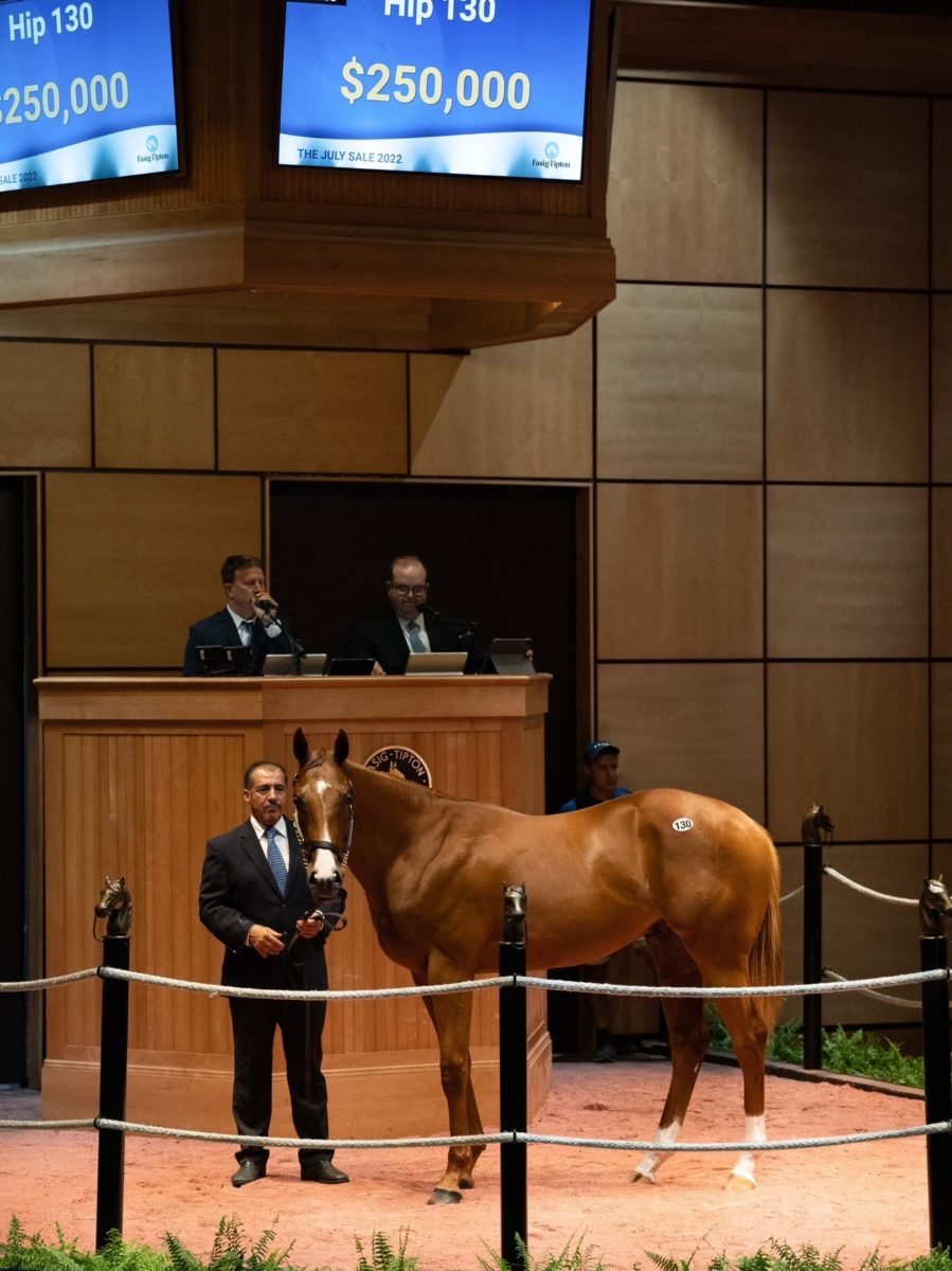 $250,000 | Hip 130 colt o/o Melody Lady | Purchased by Ken McPeek | F-TJUL22 | Nicole Finch photo