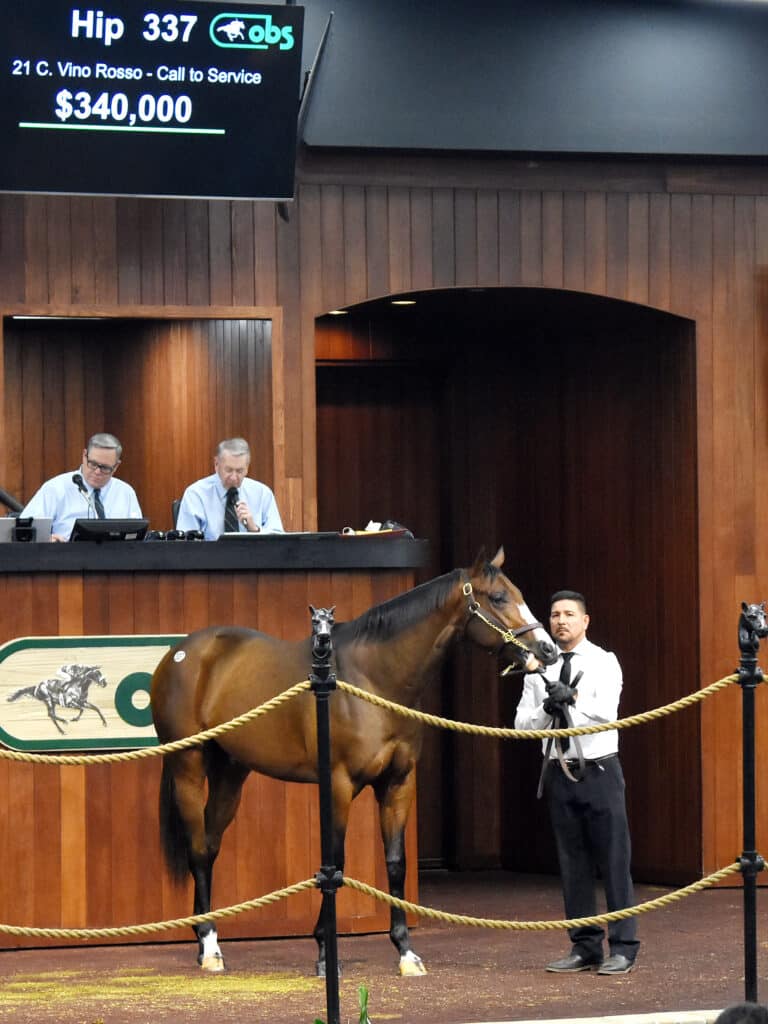$340,000 colt | Hip 337 o/o Call to Service | Purchased by Michael Maker | '23 OBSMAR | Judit Seipert photo