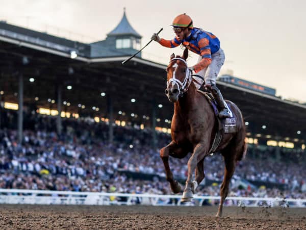 Vino Rosso | 2019 Breeders’ Cup Classic-G1 | Eclipse Sportswire photo