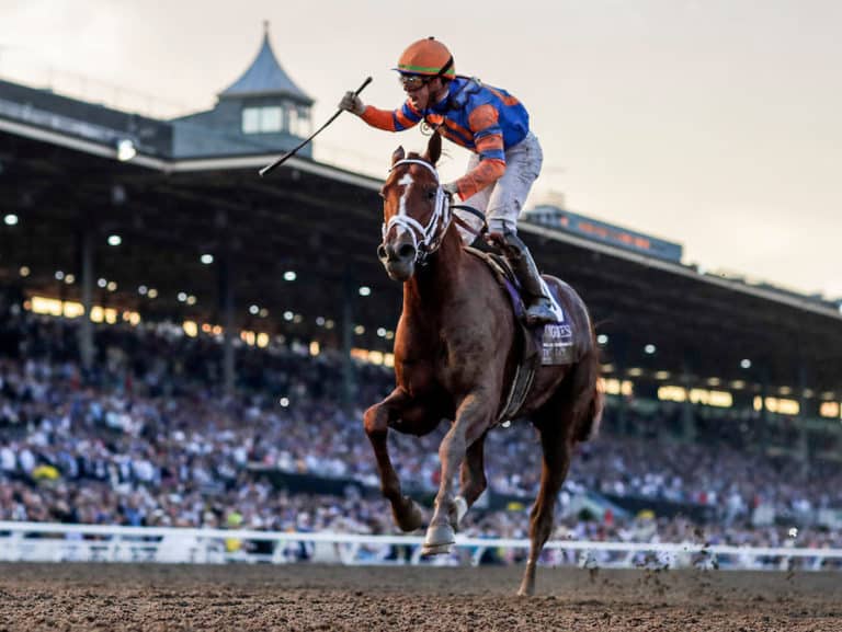 Vino Rosso | 2019 Breeders’ Cup Classic-G1 | Eclipse Sportswire photo