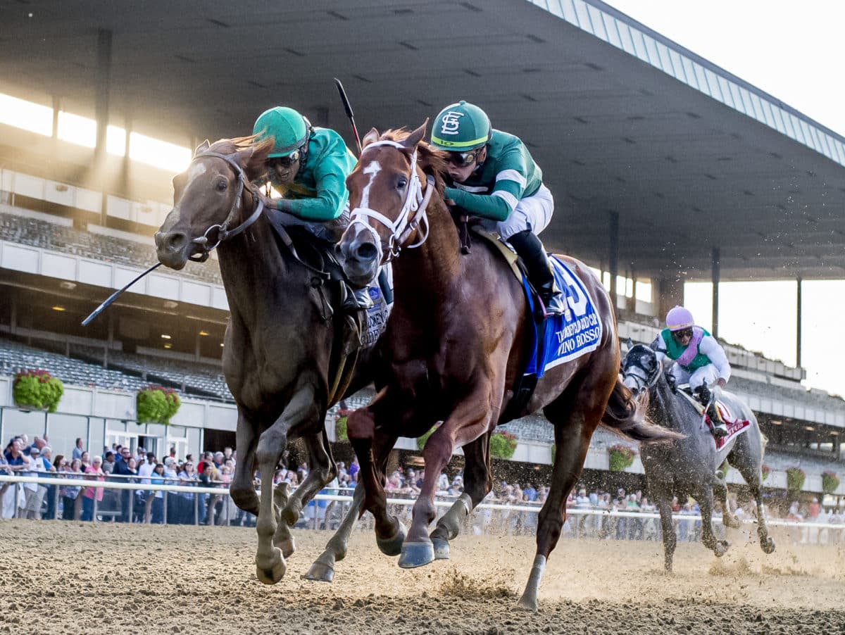 Vino Rosso | 2019 Jockey Club Gold Cup-G1 | Eclipse Sportswire photo