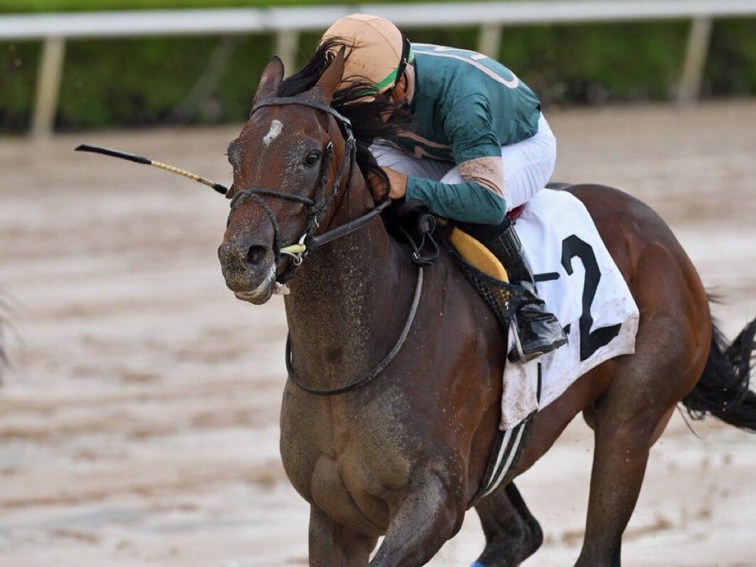 2yo colt Diciassette remains undefeated with a win in the 2025 Proud Man Stakes at Gulfstream | Coglianese photo