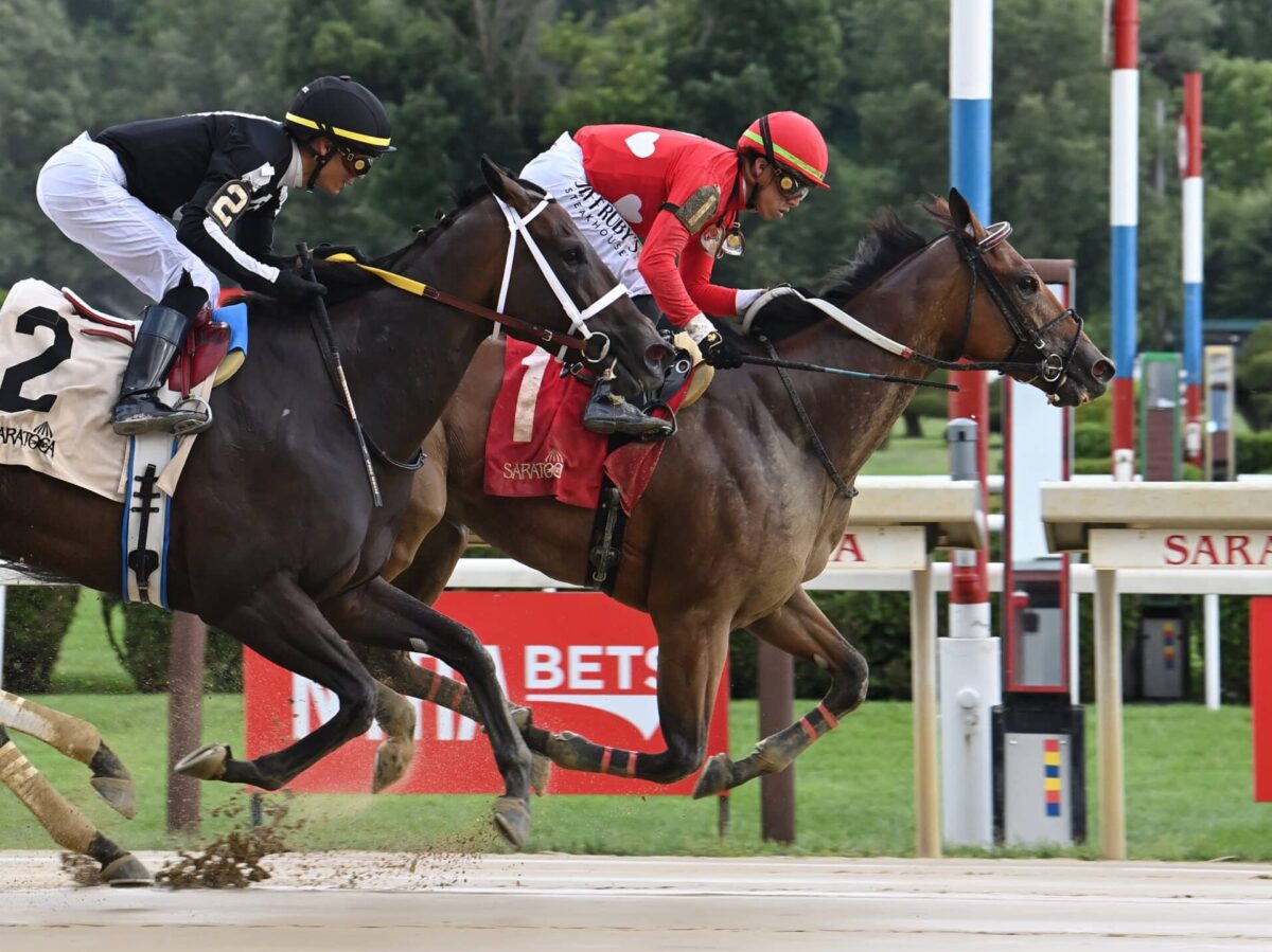 First-crop filly Halina's Forte wins the 2025 Honorable Miss S. (G2) at Saratoga in 1:09.87 | NYRA photo