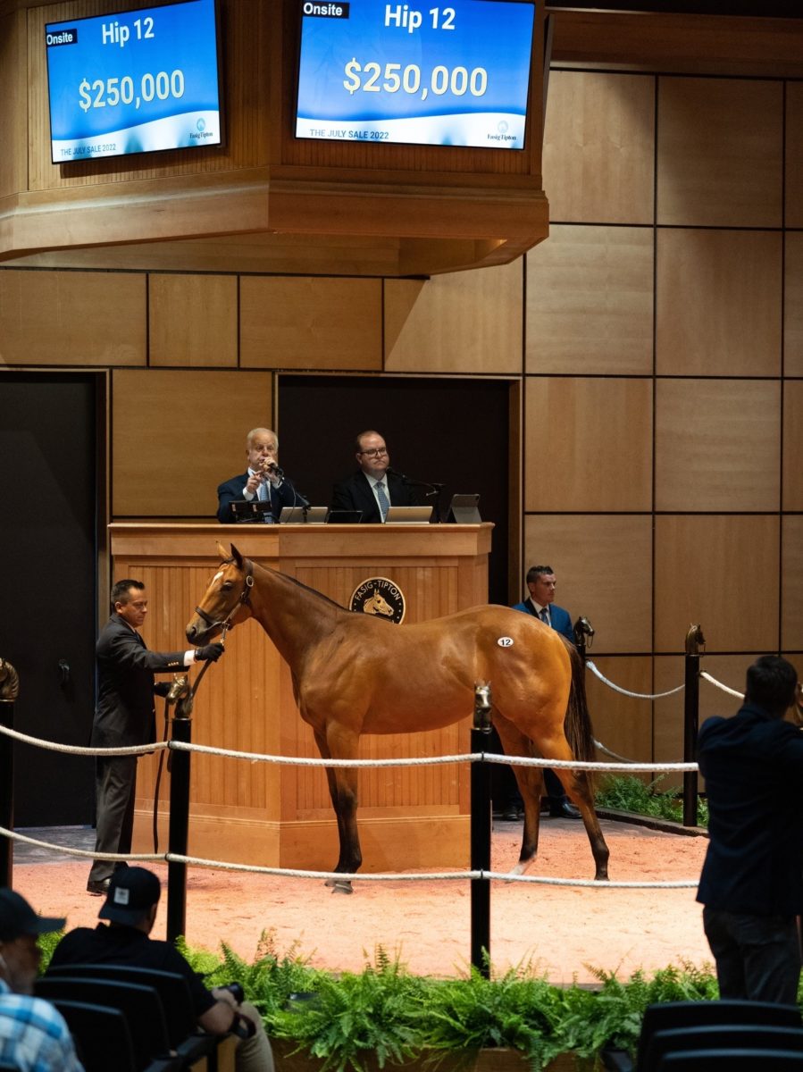 $250,000 | Hip 12, filly o/o Lunarlady | Purchased by Chenowith Run Stables | F-TJUL 22 | Nicole Finch photo