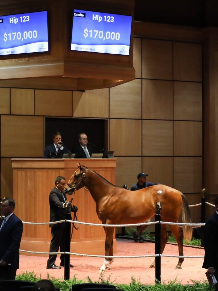 $170,000 | Hip 123 colt o/o Lady Buckner | Purchased by Eddie Woods | F-TJUL22 | Nicole Finch photo