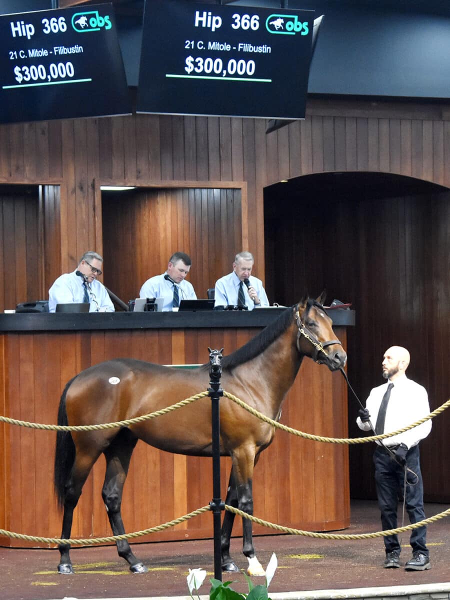 $300,000 | Colt o/o Filibustin | Purchased by N. Tremblay/Hollamon/Howg | '23 OBSAPR | Judit Seipert photo