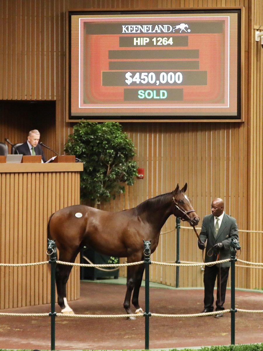 $450,000 | Colt o/o Waltzing | Purchased by Centennial Farms | '22 KEESEP | Z photo