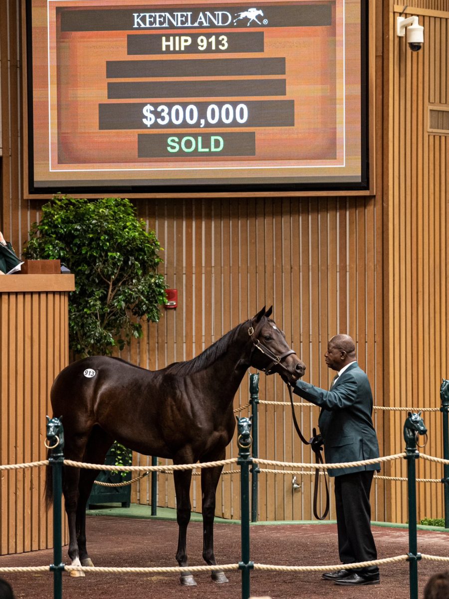 $300,000 | Filly o/o Beholden | Purchased by Debby Oxley | '22 KEESEP | Nicole Finch photo