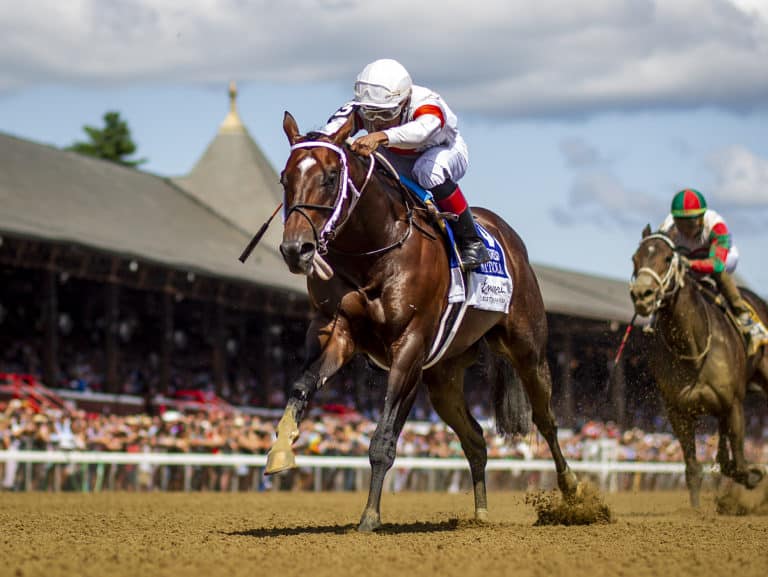 Mitole | 2019 Forego-G1 [NSR] | Eclipse Sportswire photo