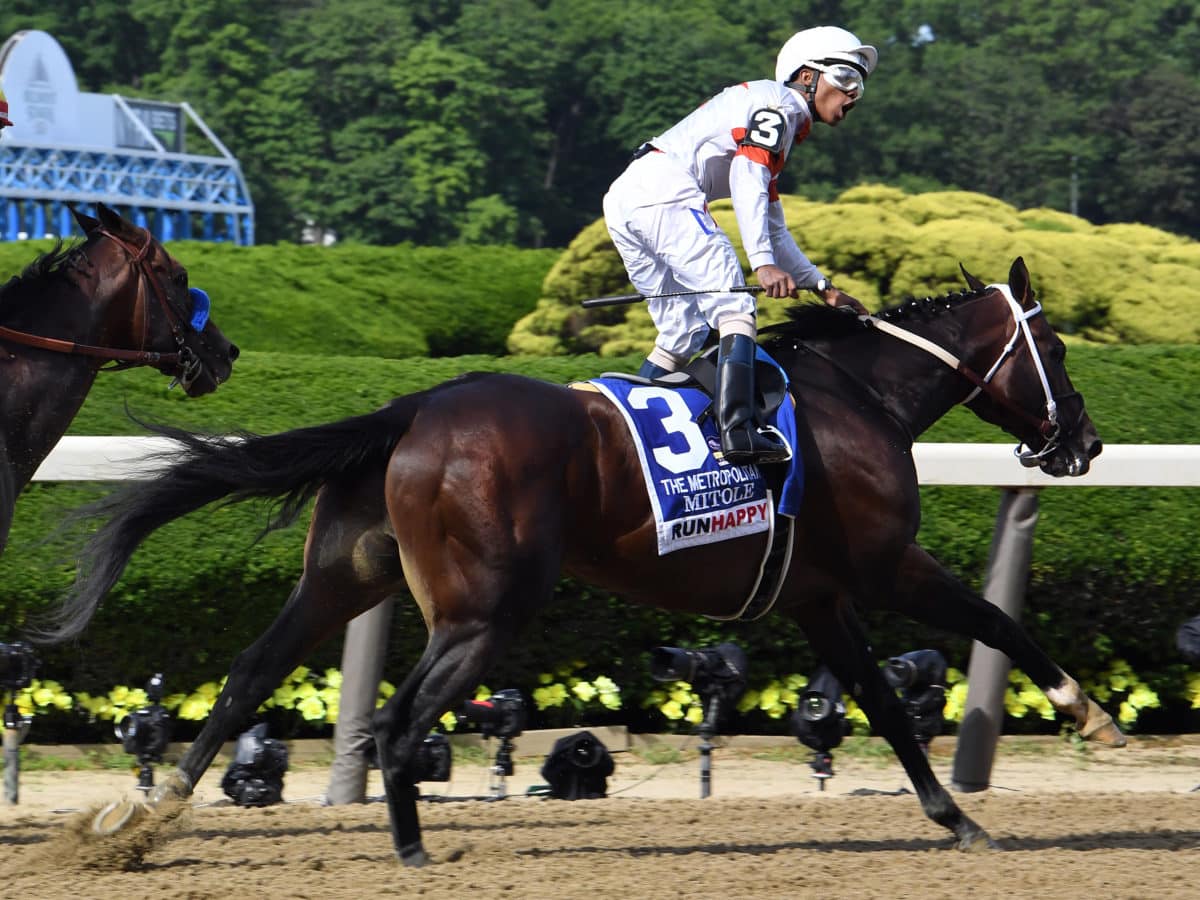 Mitole | 2019 Met Mile-G1 | NYRA photo