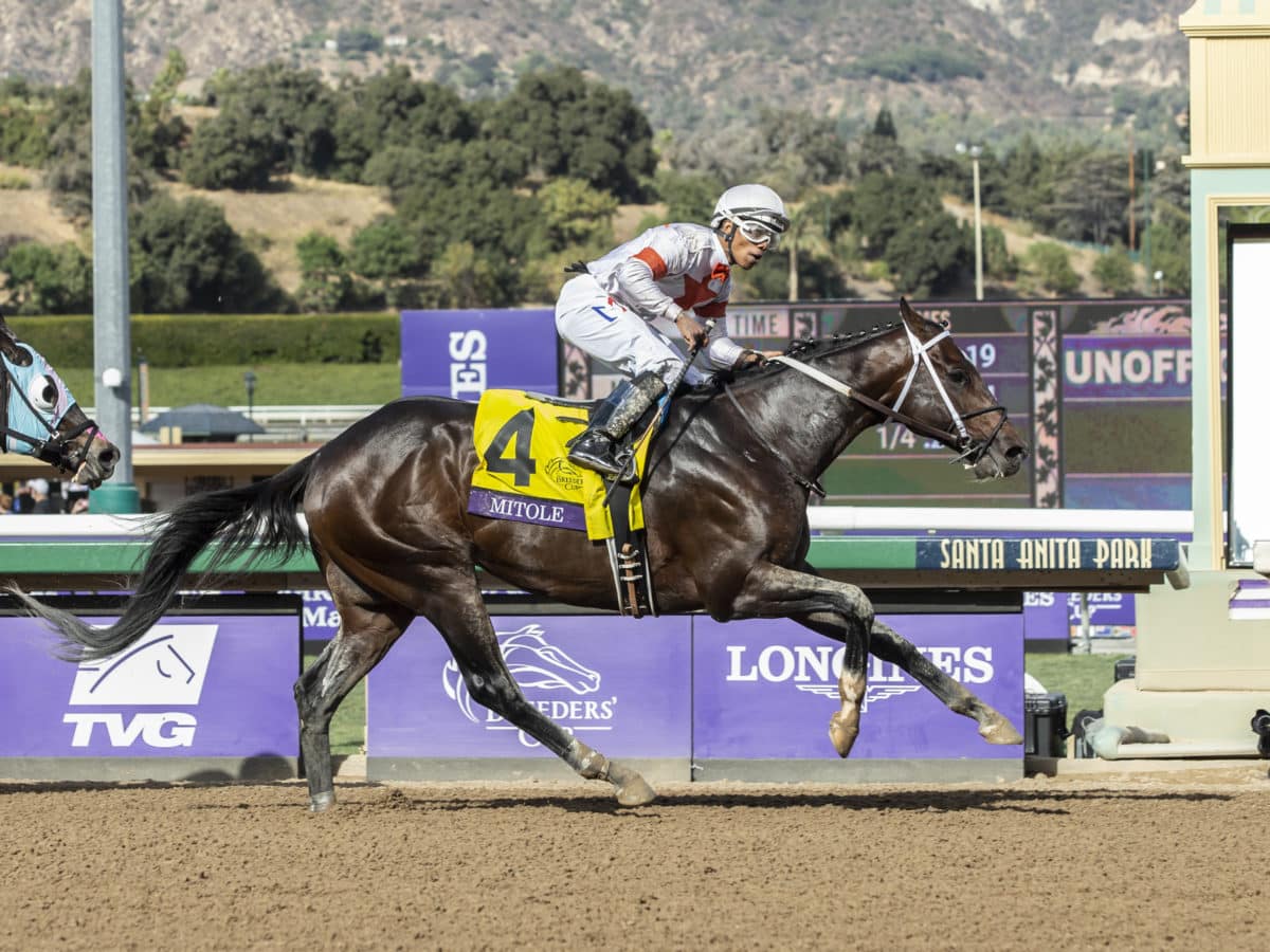 Mitole | 2019 Breeders’ Cup Sprint-G1 | Benoit photo