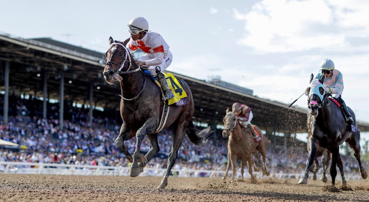 Mitole | 2019 Breeders' Cup Sprint-G1 | Eclipse Sportswire photo