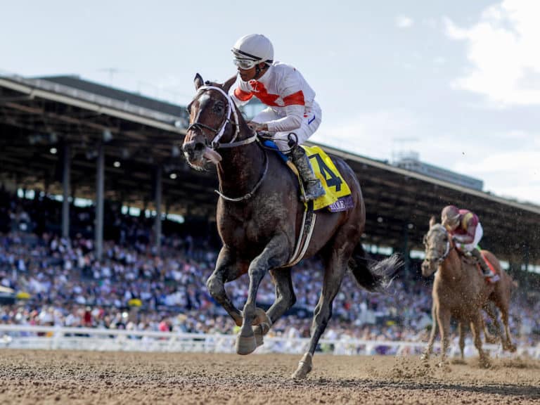 Mitole | 2019 Breeders' Cup Sprint-G1 | Eclipse Sportswire photo