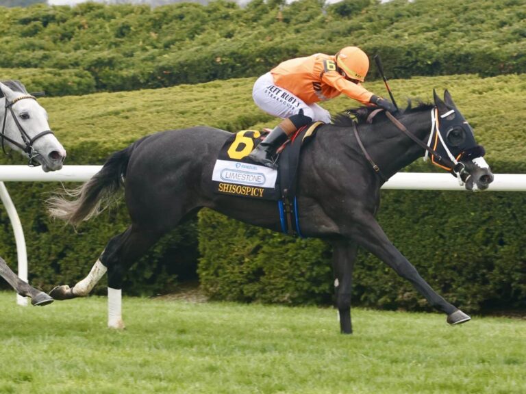 3yo filly Shisospicy wins the 2025 Limestone Stakes at Keeneland | Coady photo