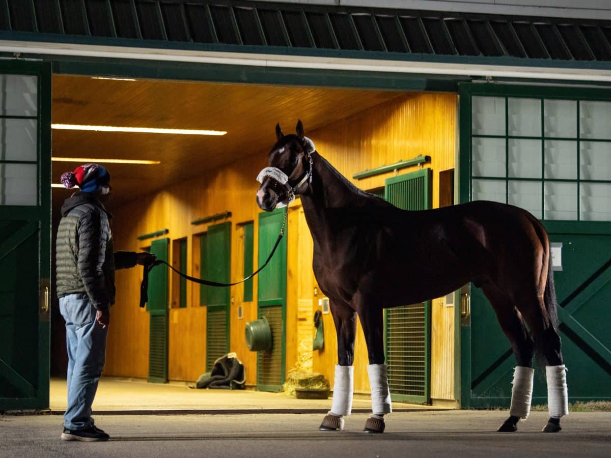 Omaha Beach poses for the media | Autry Graham photo