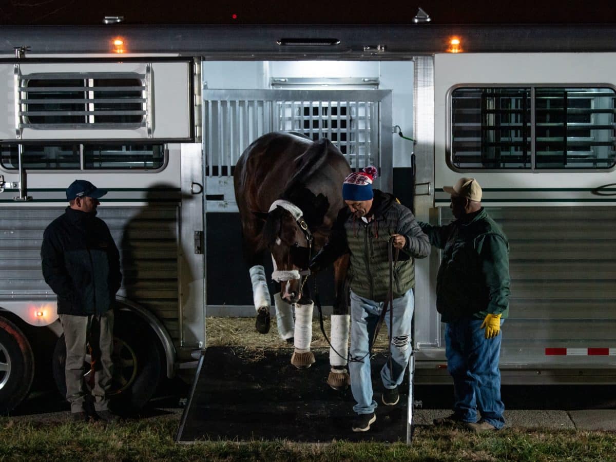 Omaha Beach unloads at Spendthrift's stallion complex | Autry Graham photo