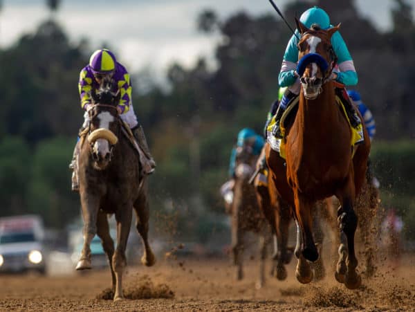 Authentic will run next in the $1,000,000 Santa Anita Derby-G1 | Eclipse Sportswire photo