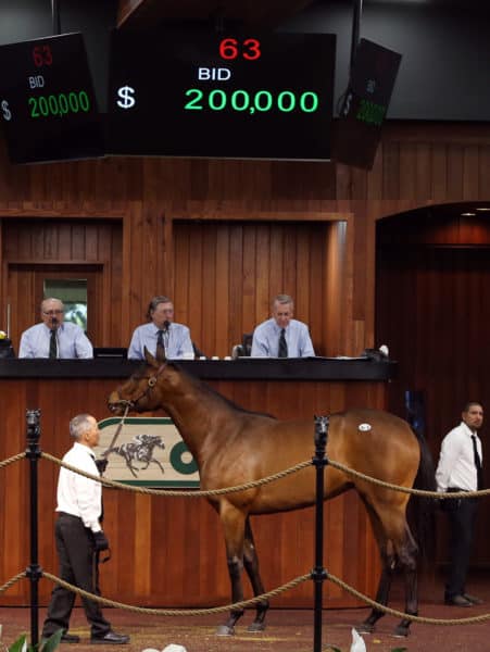 Hip 63, the first 2yo offered at auction, brings $200,000 on day one at OBS March | Photo by Z