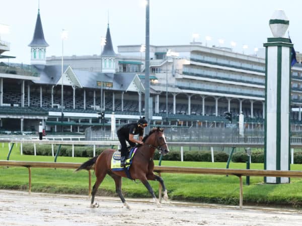 G1 winner Authentic stretches his legs under the twin spires | Coady photo