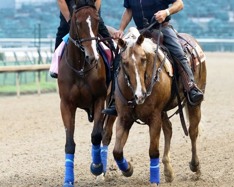 Gamine draws post five for Kentucky Oaks (G1) Spendthrift A