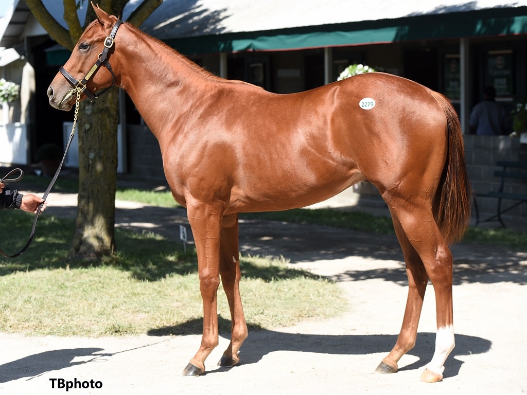 Gormley juveniles still commanding attention at Keeneland Spendthrift A Kentucky