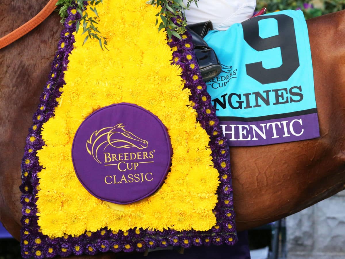 Authentic | Breeders' Cup Champion 2020 | Photo by Coady Photography