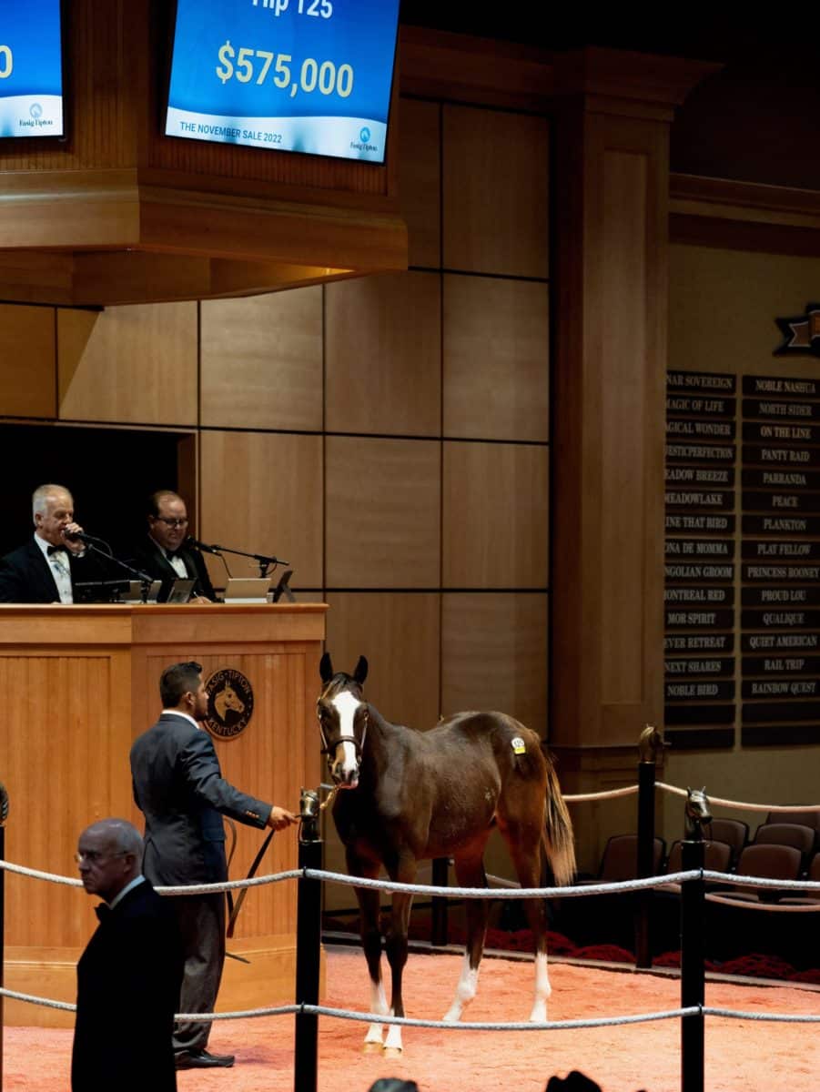 $575,000 at '22 F-T Nov | Colt o/o Awesome Flower | Purchased by Whisper Hill Farm | Nicole Finch photo