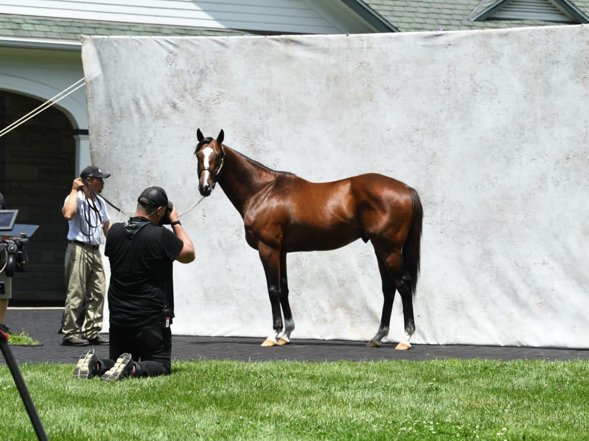 Authentic | 2021 Spendthrift | Autry Graham photo