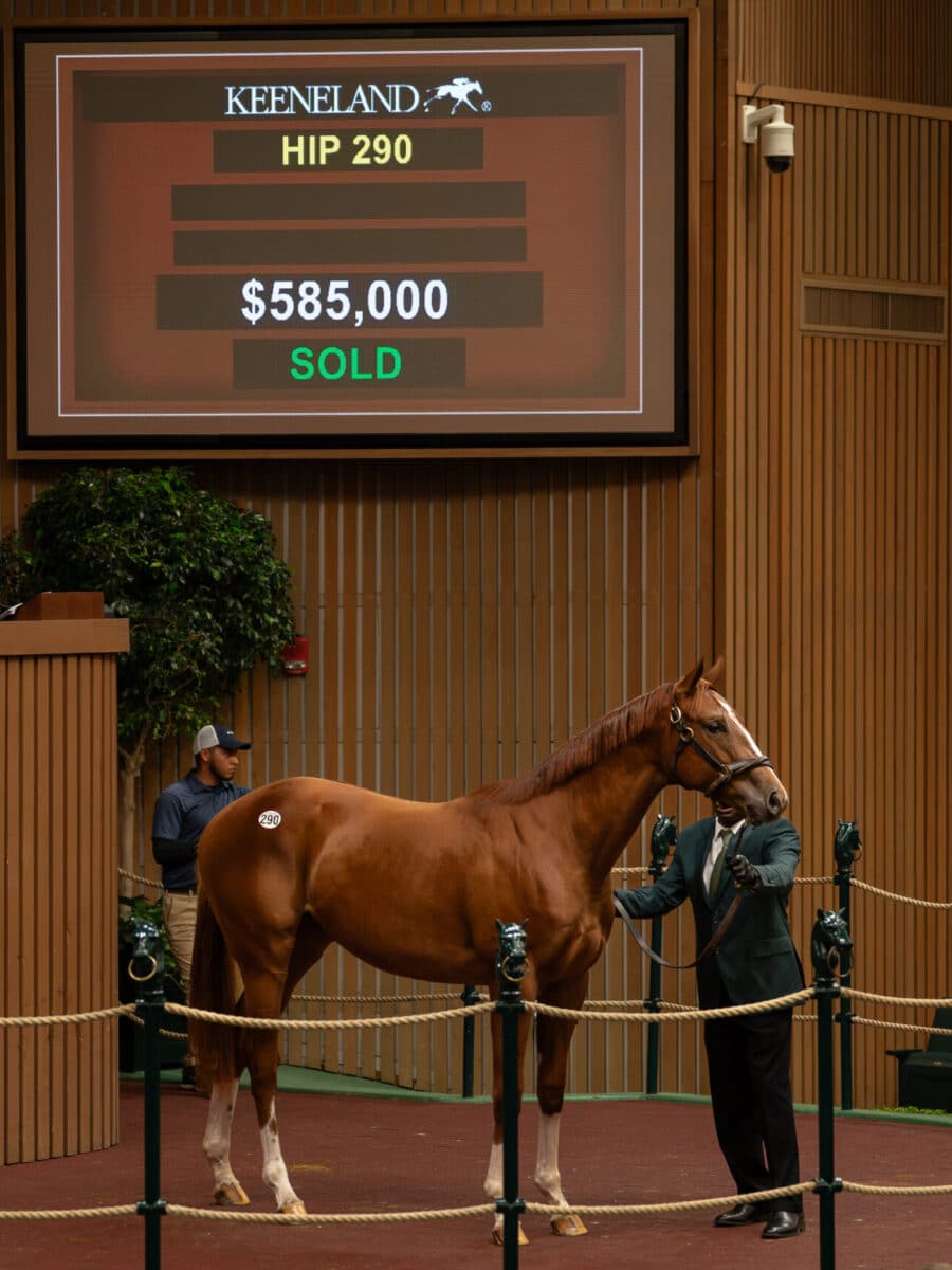 $585,000 at '23 KEESEP | Filly o/o Rejoicing | Purchased by Whisper Hill Farm | Nicole Finch photo