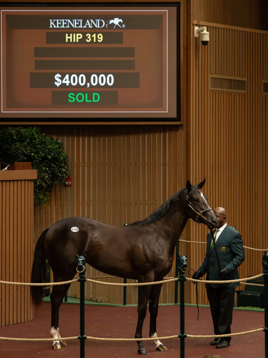 $400,000 at '23 KEESEP | Filly o/o Smooth Path | Purchased by FMQ Stables | Nicole Finch photo