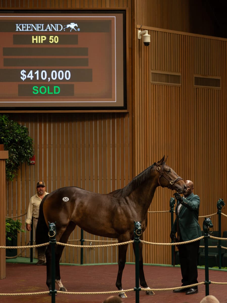 $410,000 at '23 KEESEP | Filly o/o Cajun Delta Dawn | Purchased by Klaravich Stable | Nicole Finch photo