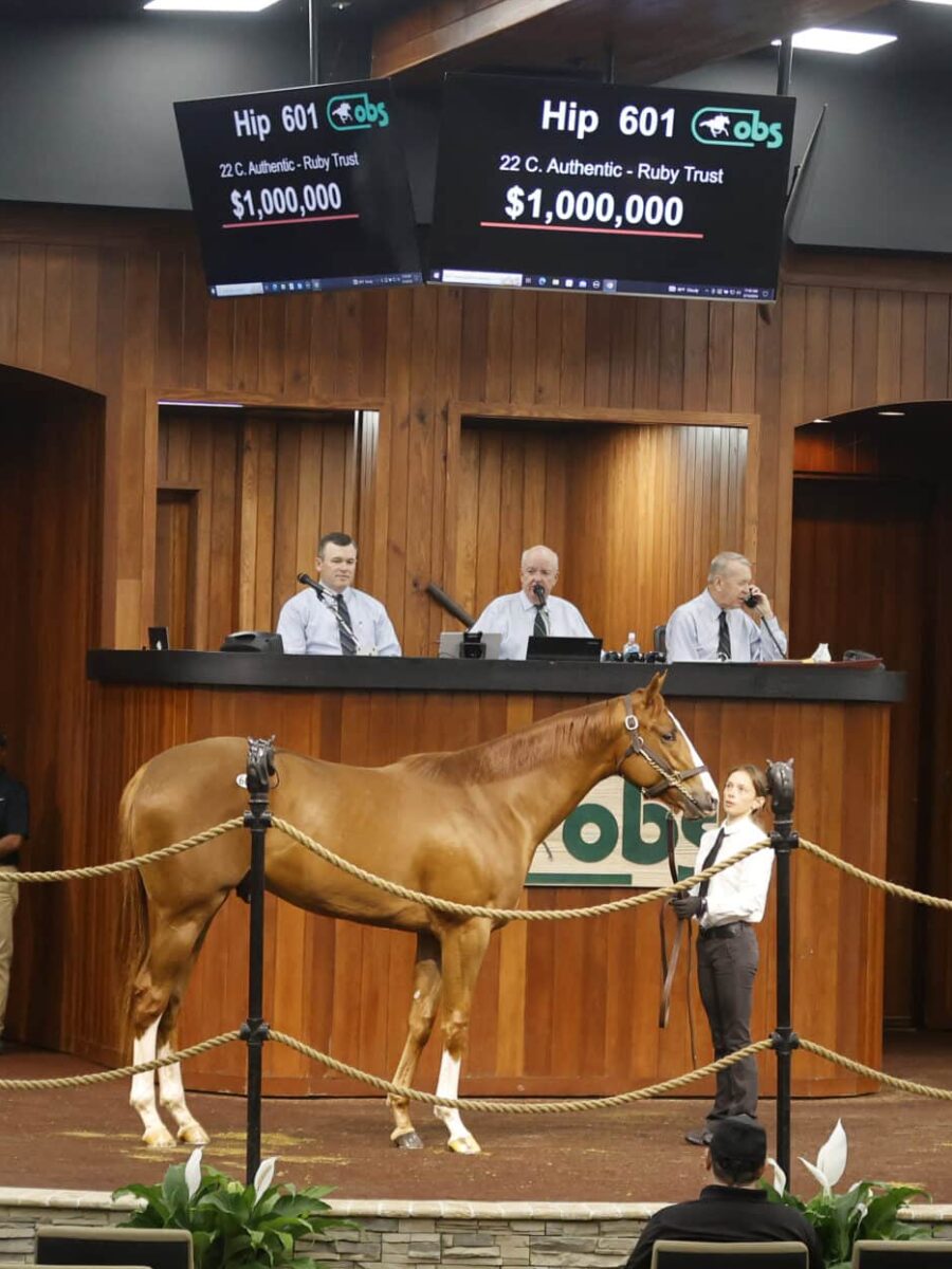 $1,000,000 at '24 OBSMAR | Colt o/o Ruby Trust | Purchased by Resolute Bloodstock | Z photo