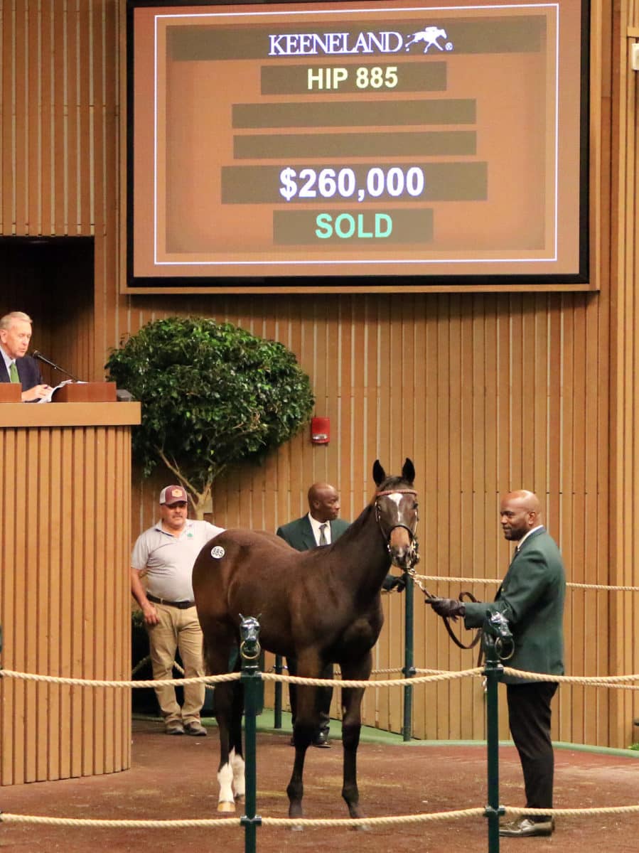 $260,000 at '22 KEENOV | Filly o/o Rebelle | Purchased by AAA Thoroughbreds | Nicole Finch photo