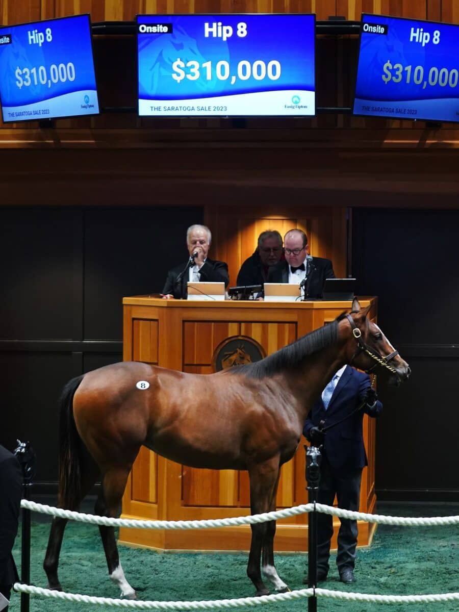 $310,000 at '23 F-T Saratoga | Filly o/o Blue Gallina | Purchased by Starlight Racing | Z photo